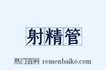 射精管是什么意思的图片